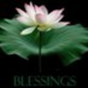 hisbelovedbride avatar