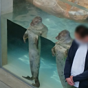 hispaniclinkfromzelda avatar