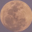 historicallyroomates avatar