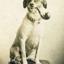 historyhappens avatar