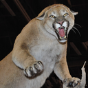 historyphd1985 avatar