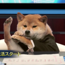 hllo-hln-smth avatar