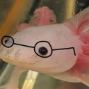 hoffmancallhoffman avatar