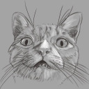 hogbogglerspirits avatar