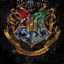 hogwarts-hot-gossip avatar