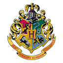 hogwartsschoolnetwork avatar