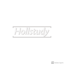 hollstudy avatar