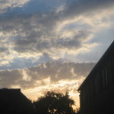 hollydermovoi avatar