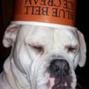 holy-god-of-posts avatar