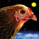 homeofhousechickens avatar