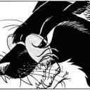 homlvssocialmedia avatar