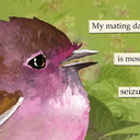 honestlywhythough avatar