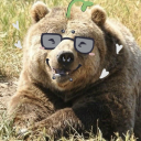 honey-bear-claw avatar
