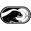 honeybadgersbasketball avatar