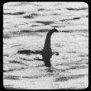 honeybakedhams avatar