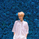 honeynamgi avatar