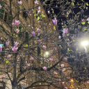 honeyybeespost avatar