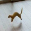 hooker-palace avatar