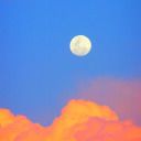 hopefully-hopeless-romanticc avatar