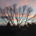 hopeisnotover avatar