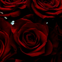 hopelessfucking avatar