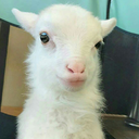 hora-do-lanche avatar