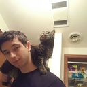 horizontally-opposed avatar