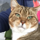 horrayaddictedto avatar