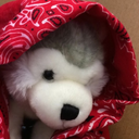 horrible-cosplays avatar