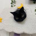 horrorpodcastthathateshorror avatar