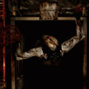 horse-has-taken-me avatar