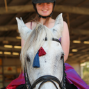 horseless-rider avatar