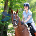 horsesinthering avatar