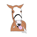 horsetography avatar