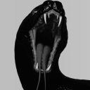 hot-astrology avatar