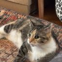 hot-cicada-milf-summer avatar