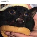 hot-patootiee avatar