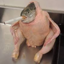 houseofrandomjunk avatar