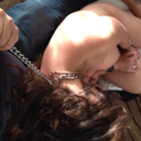 houseofsardic avatar