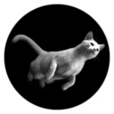 hoveringcat avatar