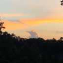 howdyiwannadie avatar