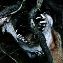 howlingbreeze avatar