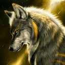 howlingwolfinthedarkness avatar