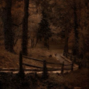 https-collins avatar