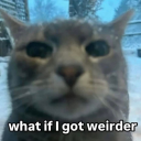 hubbyschmokes avatar