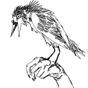 hungry-rivers-fourteen avatar