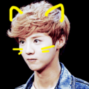 hunhan-never-dies avatar