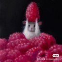 huntingvacatedplains avatar