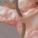 hurtbycutetorment avatar