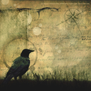 hurtsandmischance avatar